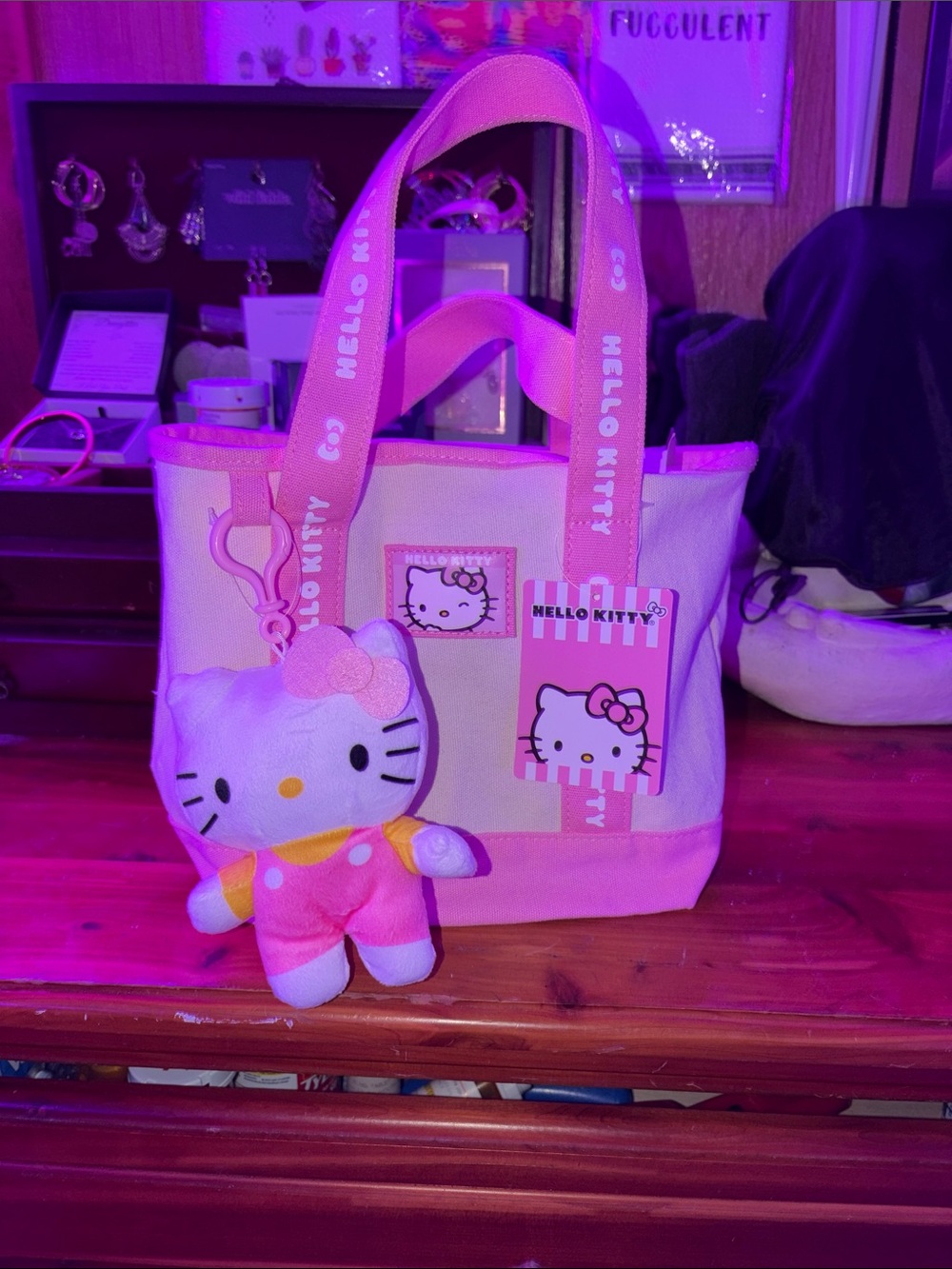 Hello Kitty Pink and White Canvas Tote with Plush Charm